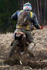 Canon EOS 400D DIGITAL, T:1/400, A:f/7.1, P:1, ISO800, F:97mm, EV:0 <br />20.03.2010 -  13:15:32