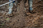Canon EOS-1D, T:1/250, A:f/5.0, P:3, ISO320, F:200mm, EV:0.33 <br />20.03.2010 -  11:15:53